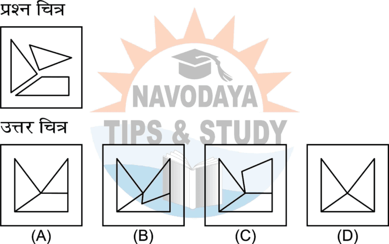MENTAL ABILITY MOCK TEST 006